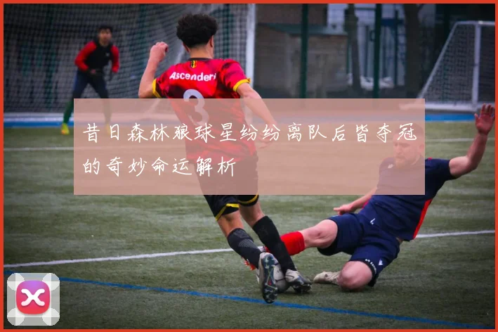 昔日森林狼球星纷纷离队后皆夺冠的奇妙命运解析